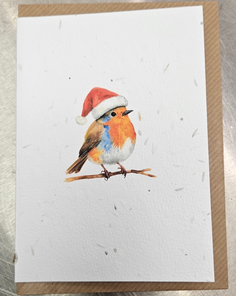 Plantable gift cards