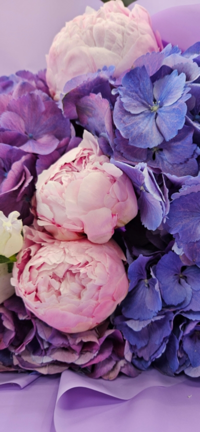 Blooms Luxe Violet Elegance