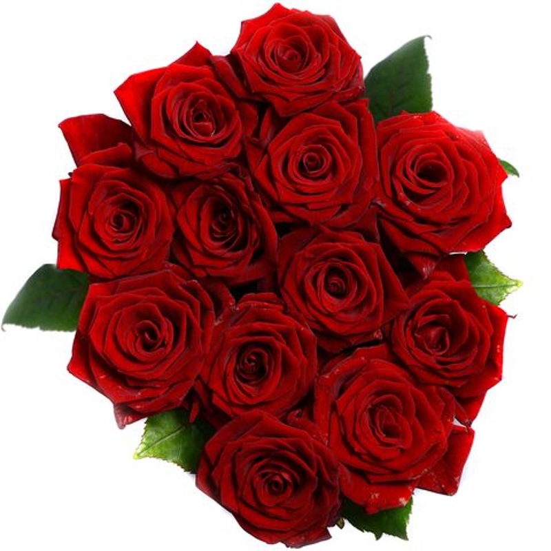 12 Luxury Red Roses buy online or call 043 33 45074