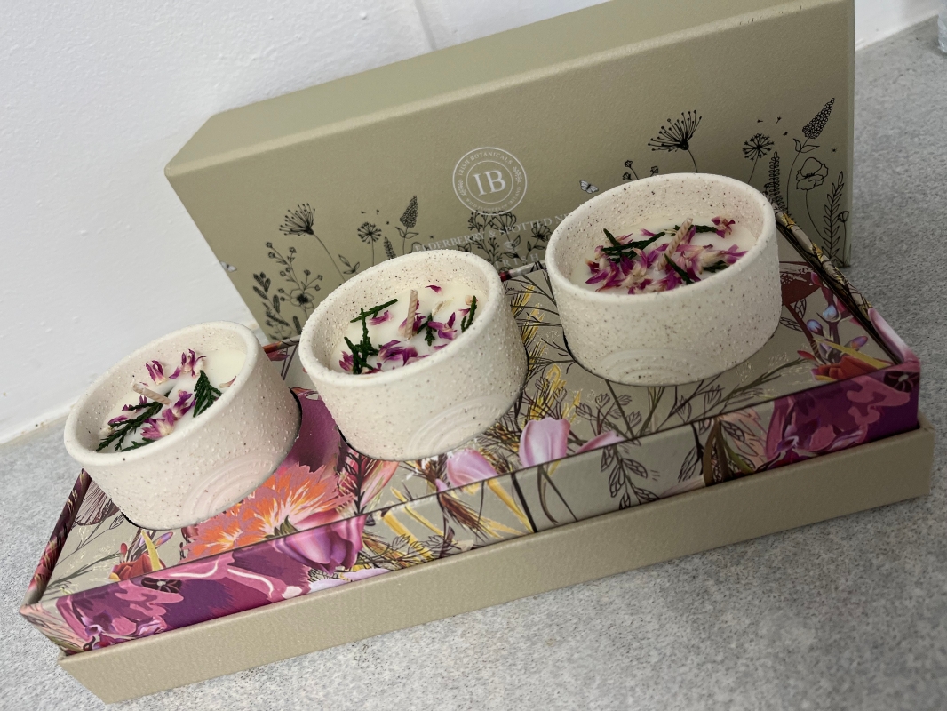Elderberry and Spotted Nettle candle set