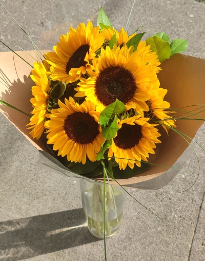 Sunflowers
