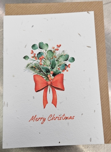 Plantable gift cards