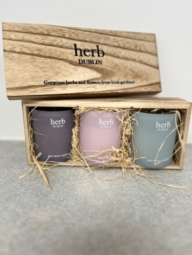 3 soy wax candles