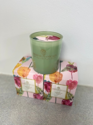 Irish botanicals tempting tulips soy wax candle